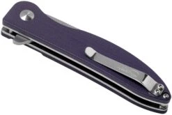 Kizer Vanguard Swaggs Swayback V3566N1 Purple G10 Couteau De Poche 12 Kizer Vanguard Swaggs Swayback V3566N1 Purple G10 Couteau De Poche -Couteaux Pliants Soldes KZV3566N1 04 kizer v202107
